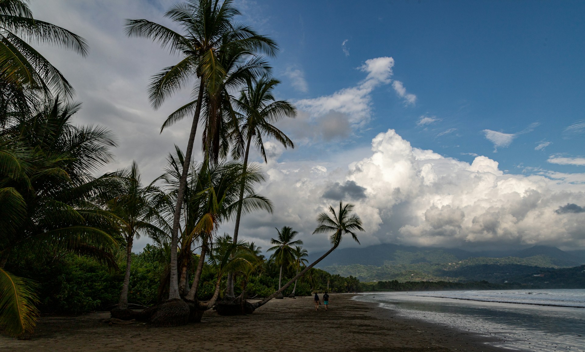 Des palmiers penchés au-dessus d'une plage du Pacifique au Costa Rica, sous des nuages d'orage impressionnants en fin de journée